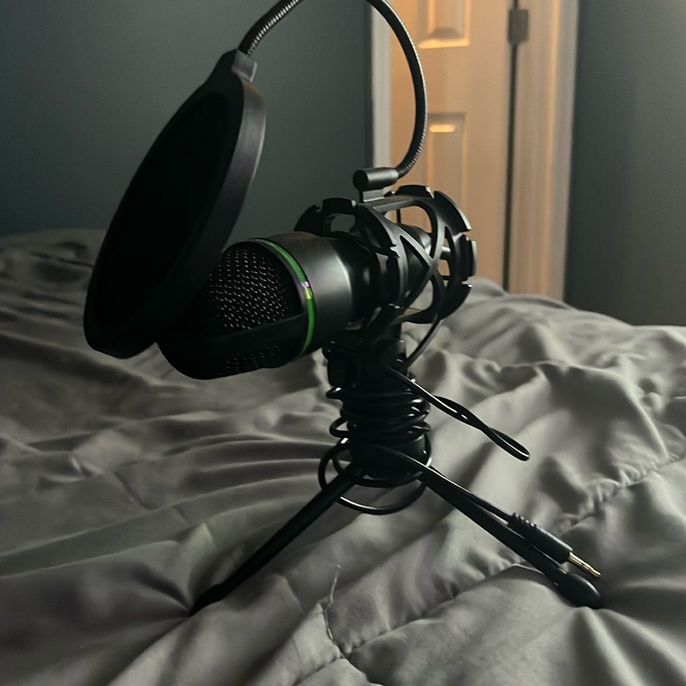 Microphone with mouth cover